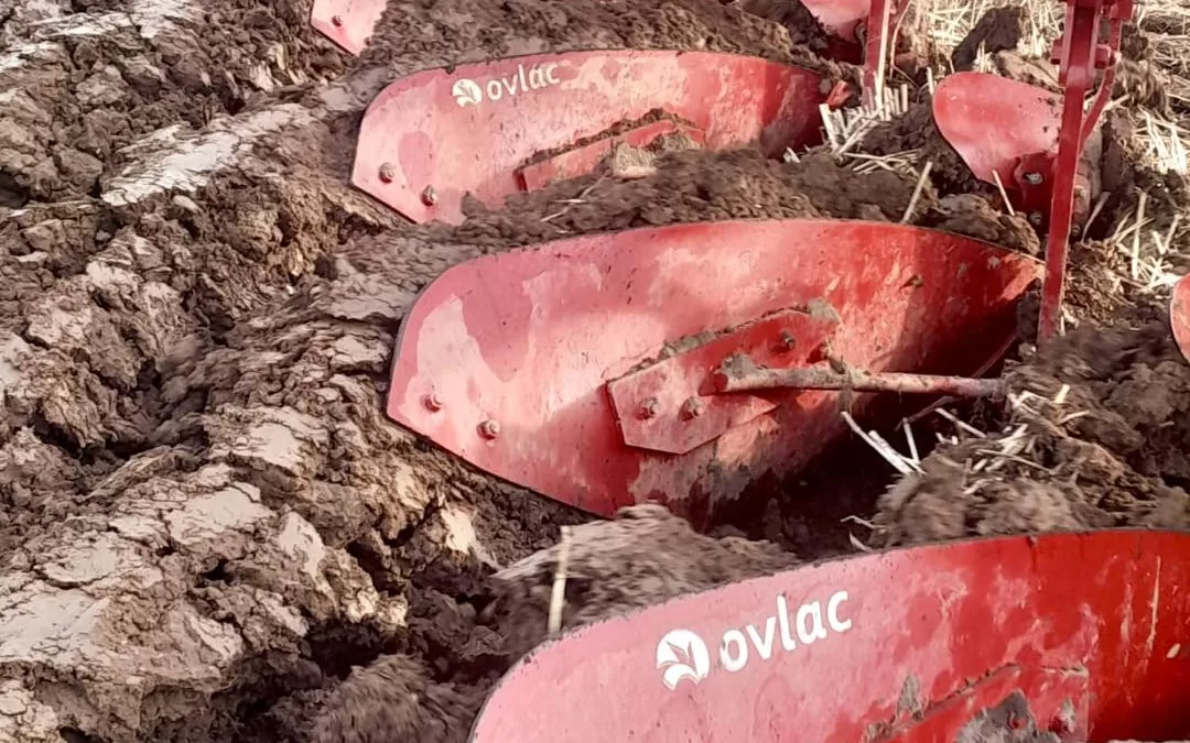 Ovlac Triumphs at the Reston Ploughing Match